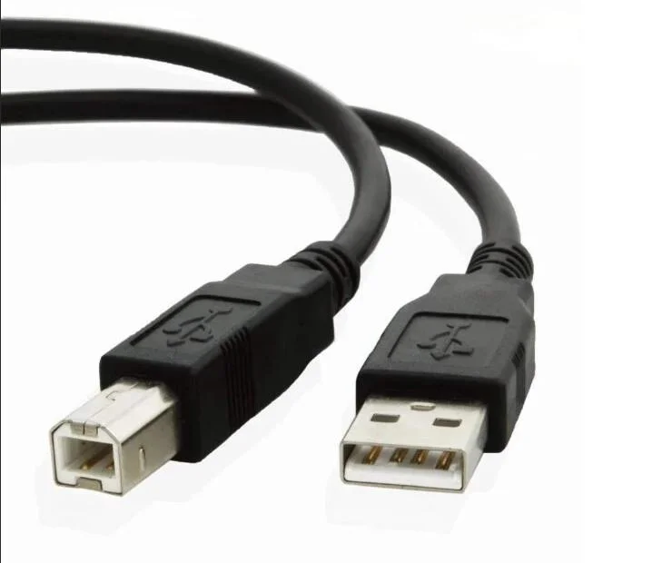USB Printer Cable USB 2.0 Am to Bm Printer Cable