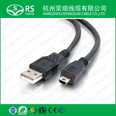 USB 2.0 a to Mini-B Cable, Black