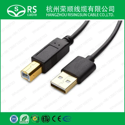 High Speed USB 2.0 Type a to B Printer Scanner Cable